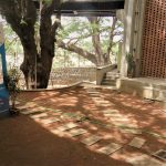 Open area (ground) 1