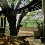 Open area (ground) 2